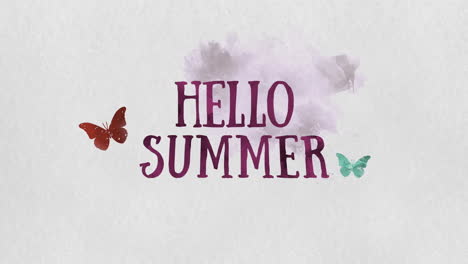 hello summer with butterfly on paint texture