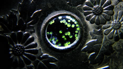 microscopic green organisms in a circular metallic frame