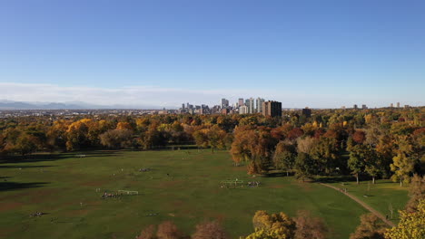 aerial panoramic view of city park denver in fall autumn season, people on urban green lawn playground with trees and lake, cityscape in horizon