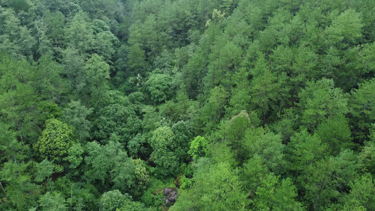 Drone video of Meghalaya's natural beauty.