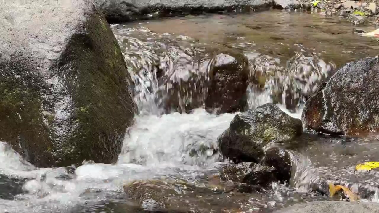 Small Stream Flowing Over Rocks in a Forest