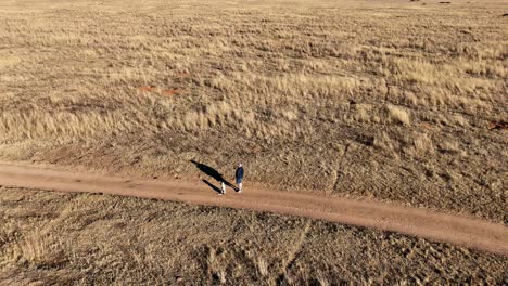 farmer and his loyal dog in tranquil harmony amidst vast african fields, cinematic aerial view