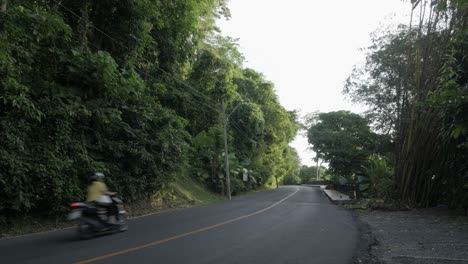 asphalt road among nature rain forest jungle on