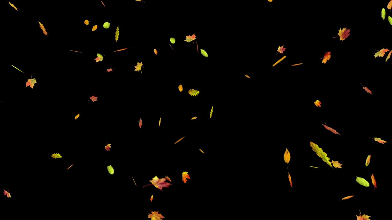 A flurry of colorful autumn leaves blows across the screen from right to left. Seamless loop with alpha channel for overlay on any background. Seasonal, nature, or transition element