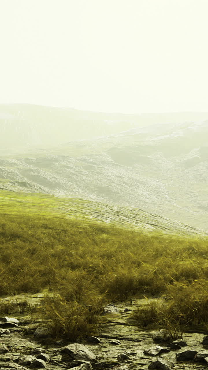 Vast green hills under soft misty light during an early morning