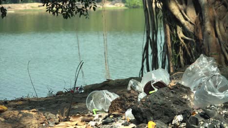 Time-Lapse-of-the-Current-in-the-Lake-Moving-in-the-Background-While-in-the-Foreground-on-the-Shoreline-There-is-a-Pile-of-Plastic-Waste-Spoiling-The-Scene-in-the-Daytime