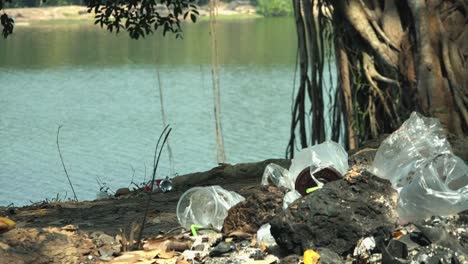 lapso de tiempo de la corriente en el lago moviéndose en el fondo mientras que en primer plano en la costa hay un montón de desechos plásticos estropeando la escena durante el día
