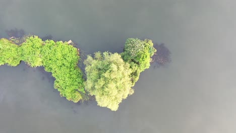 vista aérea de una isla en un lago