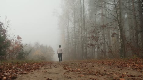 female walking on path in autumn forest at foggy day, slow motion