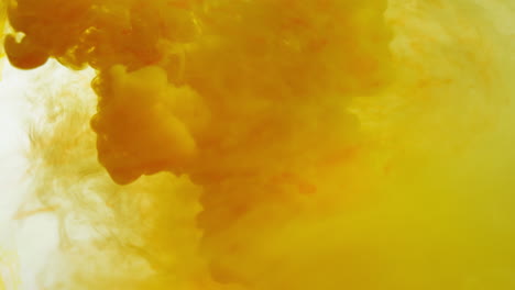 yellow and orange paint or dye dropped into water against white background to create swirling colourful smoke background 5