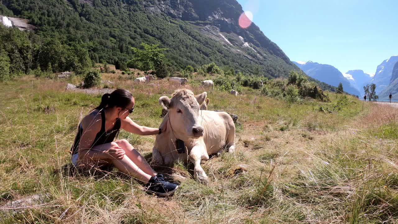 여름날 풀밭에 누워 있는 귀여운 흰 암소를 껴안고 웃으며 웃고 있는 브루네트 소녀 - 노르웨이 로엔
