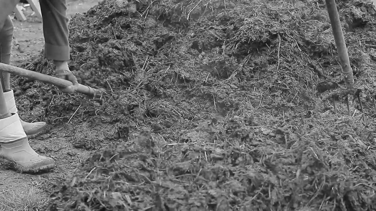 fare compost in giardino con la gente filmati stock video stock