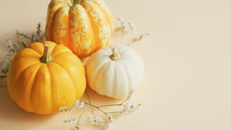 Different-sorts-of-pumpkins-and-herbs