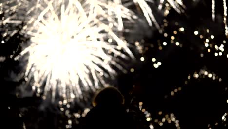 the girl takes pictures of fireworks on a mobile phone. silhouette on the background of the sky illuminated by lights