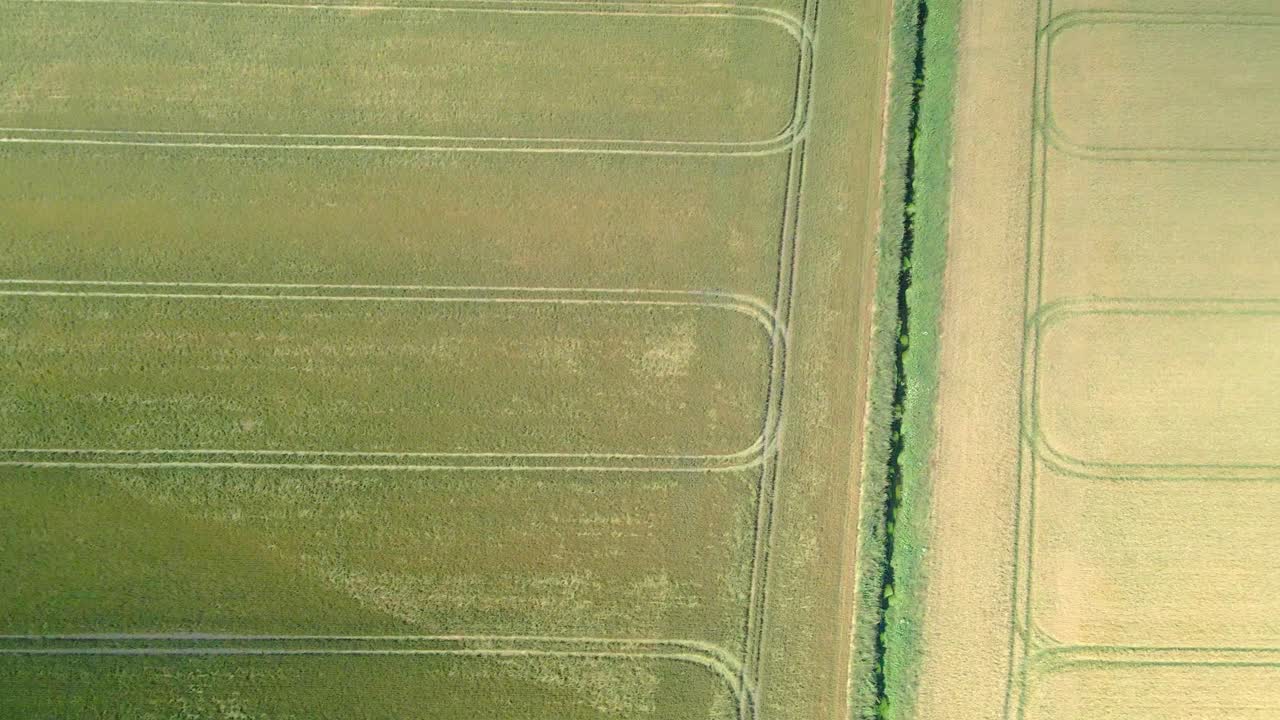 toma aérea de campos de cultivo de trigo amarillo y verde en tierras agrícolas
