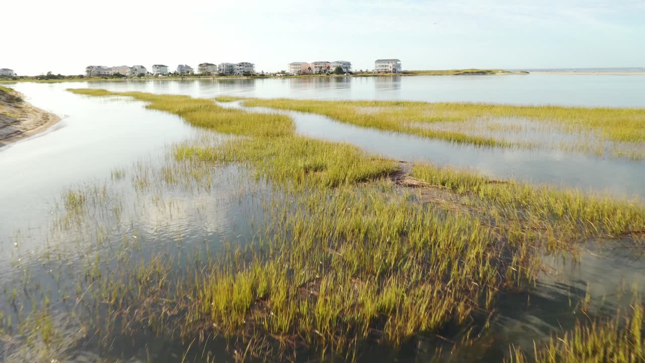 Volando basso sopra la vegetazione palustre a Oak Island, Carolina del Nord