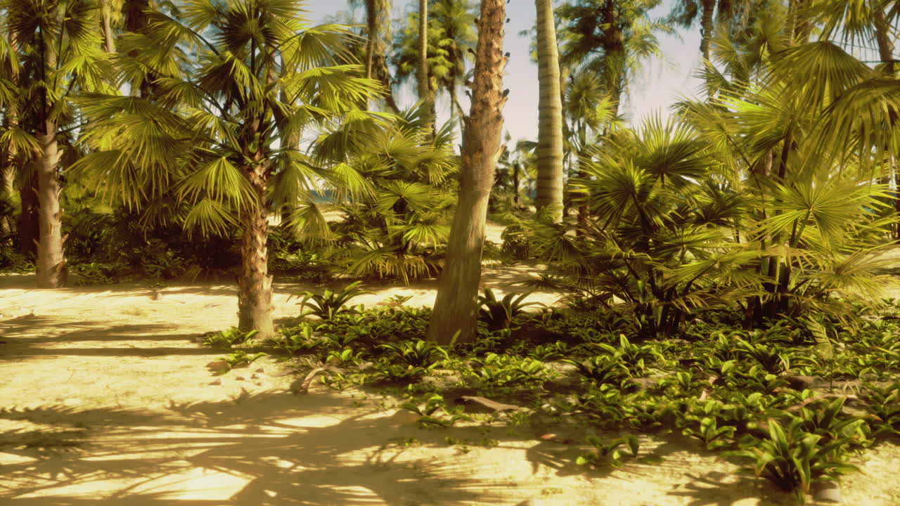 Tropical landscape featuring palm trees and lush vegetation near the beach