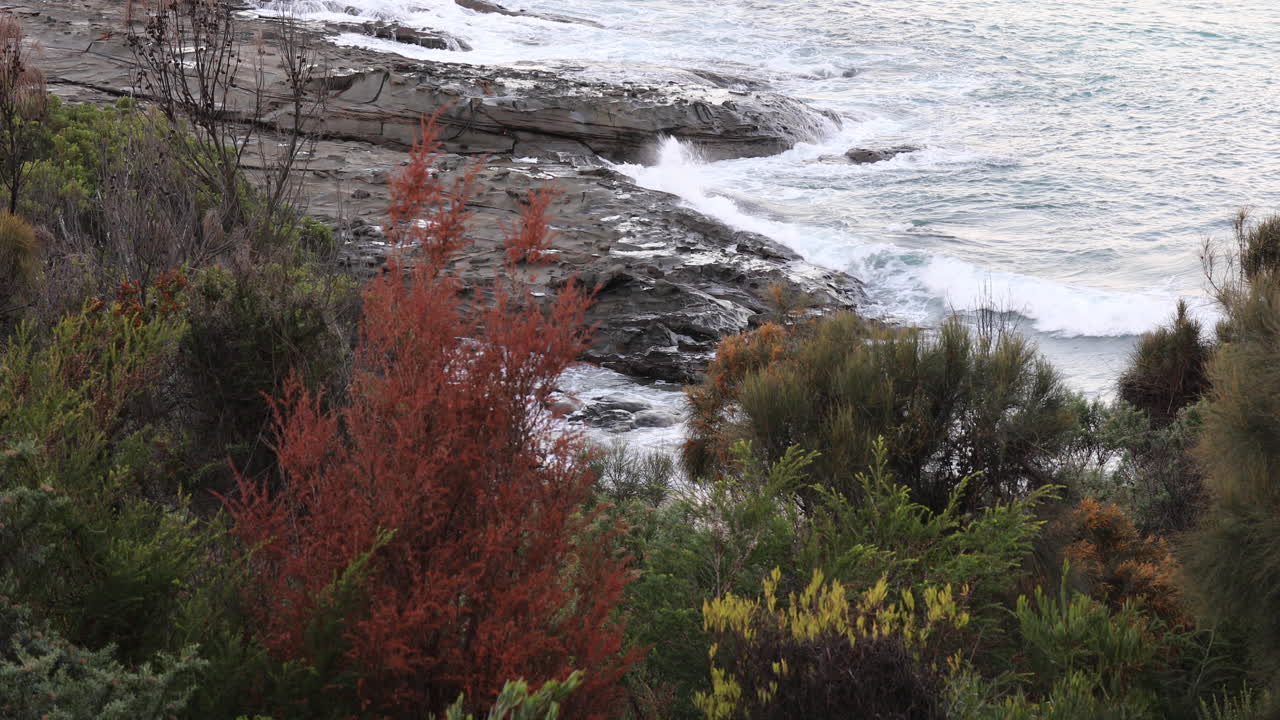 Aerial view of ocean waves hitting against rocky cliffs, surrounded by lush green plants nearby