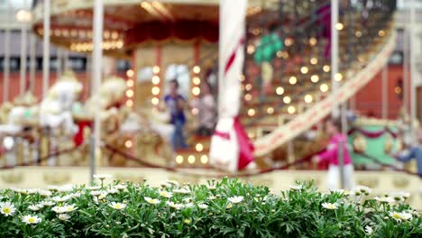 merry-go-round carousel. happy children run to carousel get best seats. carousel in the background chrysanthemum flowers in blur