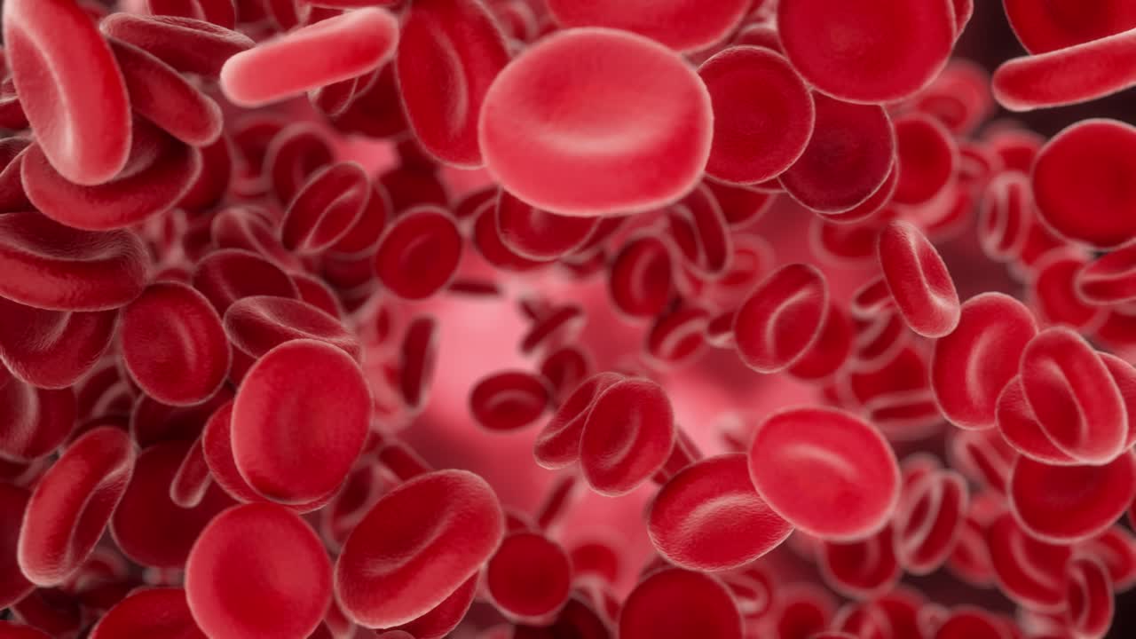 Blood cells flying through arteries