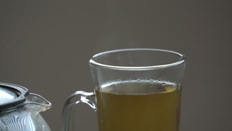 Nice-close-up-shot-of-tea-Cerasee-kerala-bitter-melon-plant-with-kerala-hanging-from-vines-used-to-make-herbal-healthy-tea-good-for-weight-loss