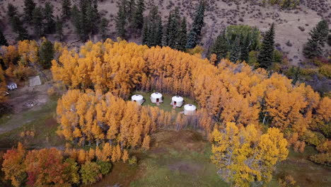 aerial view of yurt tents in woods, yellow autumn foliage and campground in american countryside, drone shot