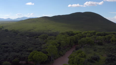 San-Pedro-River-Arizona-lined-with-cottonwood-trees-in-summer,-aerial