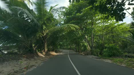 driving on amazing road between forest and lush vegetation, rocks and trees on both road sides, mahe seychelles 7