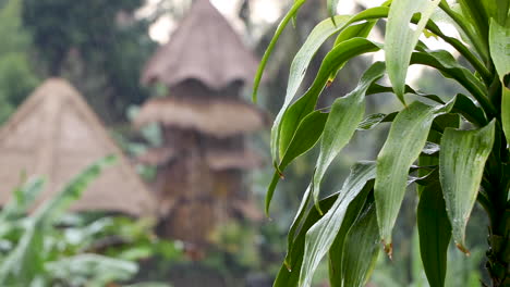 primer plano: lluvia cayendo sobre una exuberante vegetación tropical con pagoda tradicional de bambú en el fondo