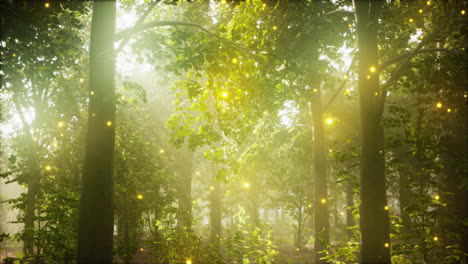 enchanted forest with fireflies