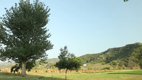 Es-Un-Hermoso-Día-En-Medio-De-La-Naturaleza