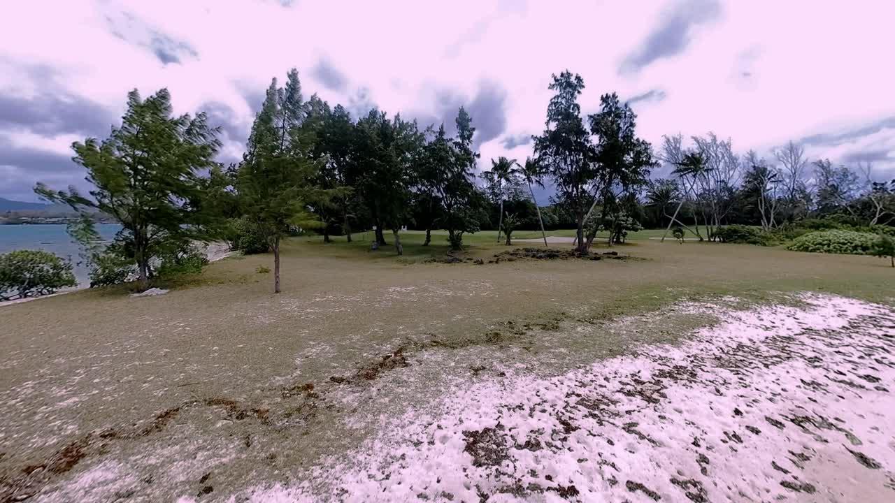 Serene Beach Landscape with Lush Trees and Calm Ocean