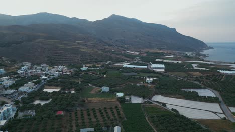 olive groves near the greek harbour town of falasarna in chania, crete, greece. aerial drone shot