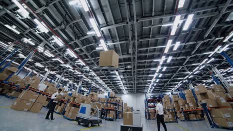 automated warehouse operations with ai-powered robots