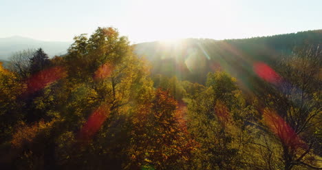 vista aérea amanecer puesta de sol sobre el bosque 8