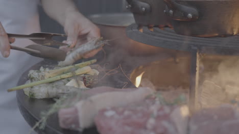 meat and fish baking in slowmotion on a plate barbeque log