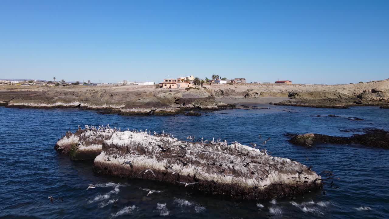 Aerial pullback of mexican villa reveals flock of seagulls racing over ocean