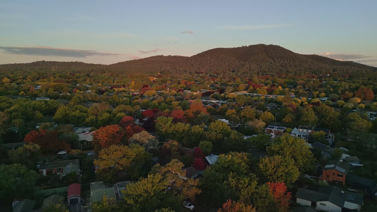 Drone glides above Canberra, revealing colorful autumn trees and warm suburban streets as sunset colors the sky.