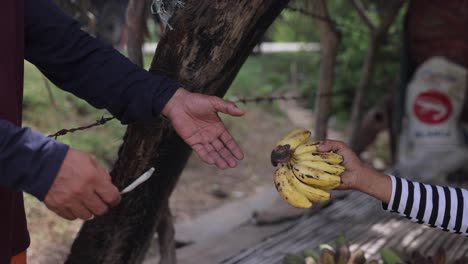 two person's hand selling bannas in exchange for dollars