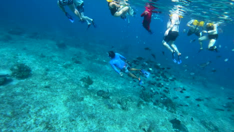 cinematic underwater view of a diver followed by school of fishes | fishes following a person underwater | people snorkeling and swimming turquoise underwater with clear view of coral reef in sea