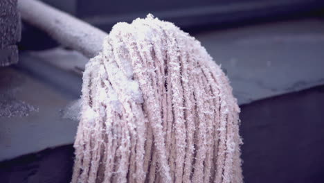 frozen mop