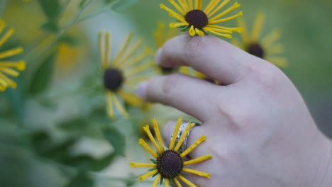 Hand-Mit-Ring-Auf-Dem-Halten-Der-Gelben-Blume