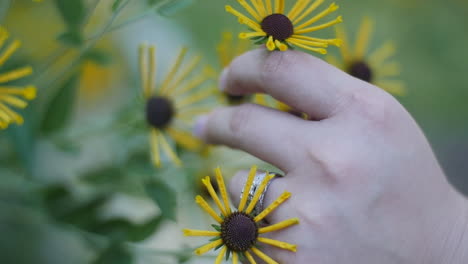 Mano-Con-Anillo-En-La-Celebración-De-Flor-Amarilla