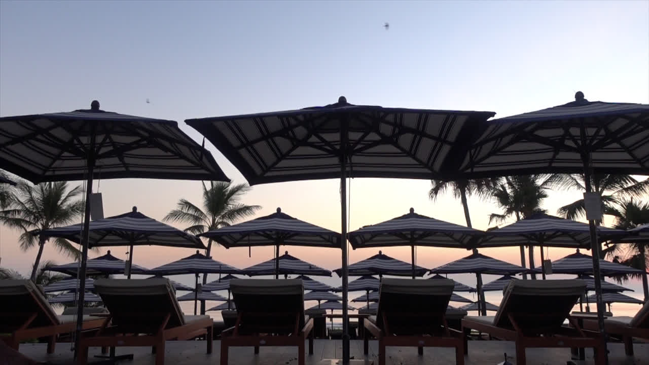 호텔 리조트의 야외 수영장 주변에 파라솔과 의자 소파