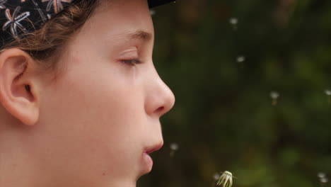 young, innocent girl makes a wish and then blows the seeds off a dandelion puffball in the breeze - slow motion close up