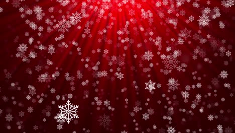 abstract flying snowflakes on a light red loop background. winter snowflakes.