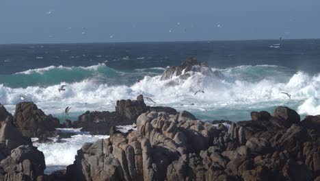 spruzzi dell'oceano lungo le spiagge rocciose della baia di monterey, in california