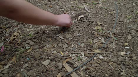 hand picks up littered beer bottle caps from ground, slowmo close up