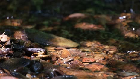 A-zoom-out-of-this-lovely-body-of-water-in-the-jungle,-Stream-and-Rocks,-Kaeng-Krachan-National-Park,-Thailand