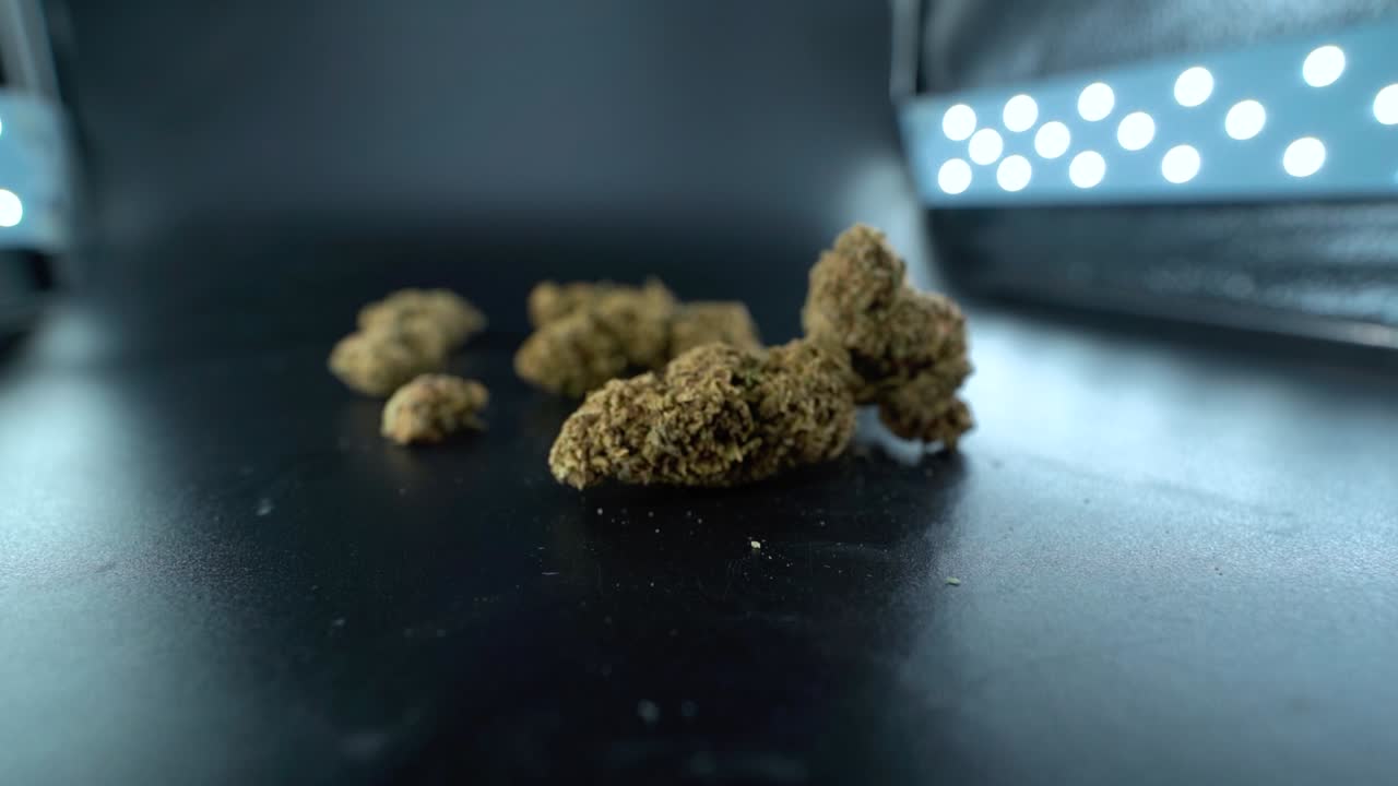 A close up detailed crane reveal shot of a cannabis plant, marijuana flower hybrid strains, Indica and sativa, 120 fps slow motion Full HD, cinematic studio lighting, LED lights